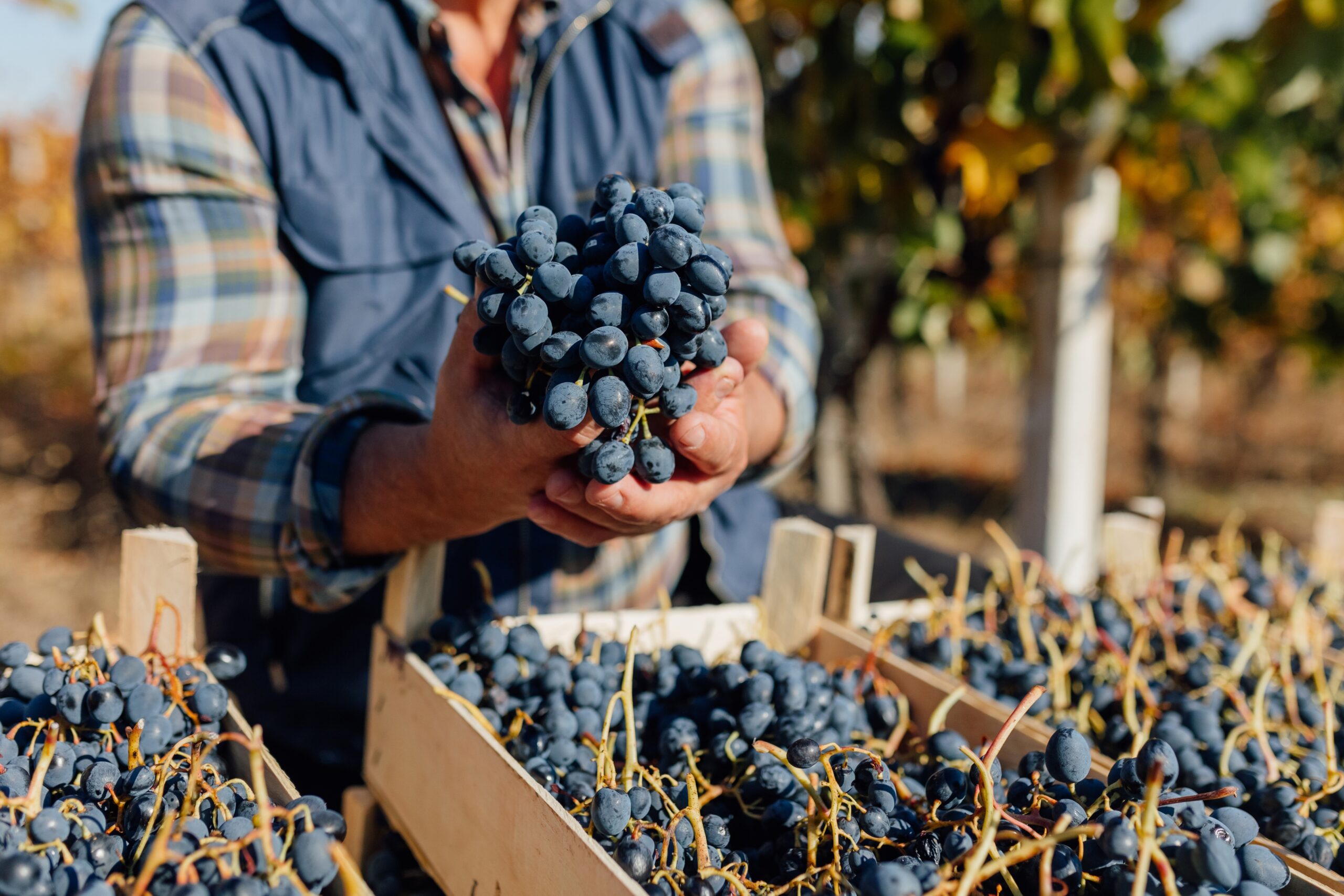 Learnings from Bordeaux: A collaborative approach to labour standards